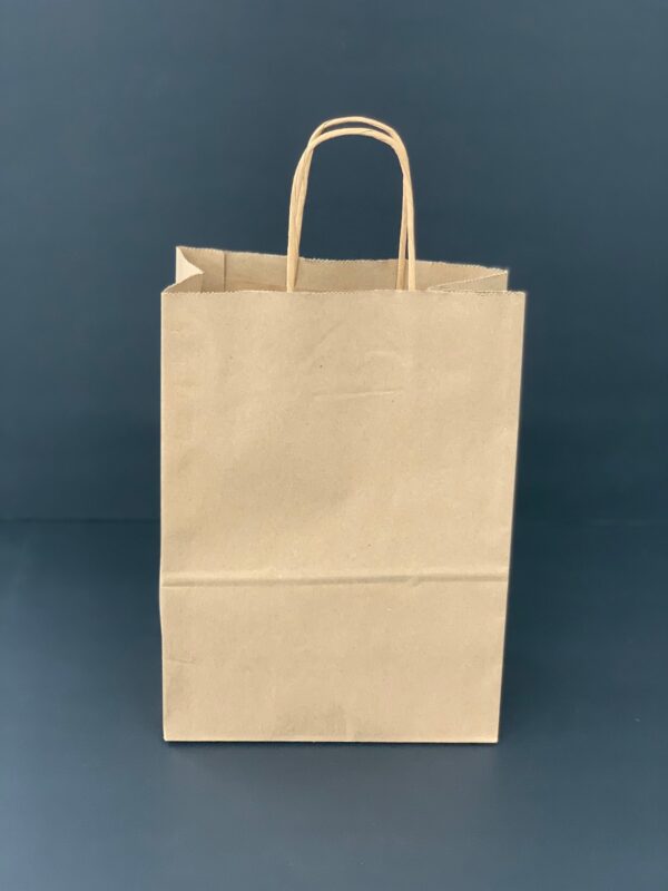 Twisted Handles Kraft Paper Bag 8.5x4.5x10.75 -250pc with Adhesive Tape