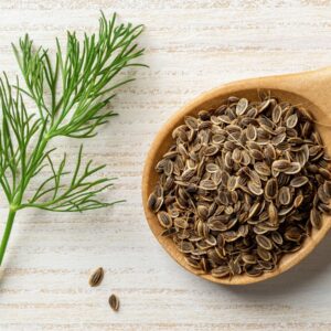 Dill Weed Seeds-2.27kg